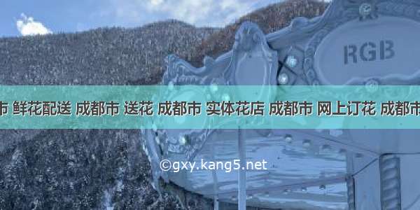 成都市 鲜花配送 成都市 送花 成都市 实体花店 成都市 网上订花 成都市 同城