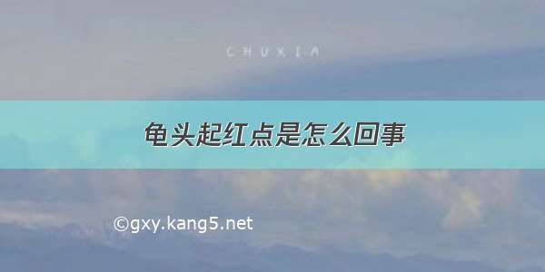 龟头起红点是怎么回事