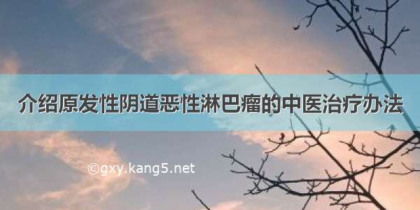 介绍原发性阴道恶性淋巴瘤的中医治疗办法