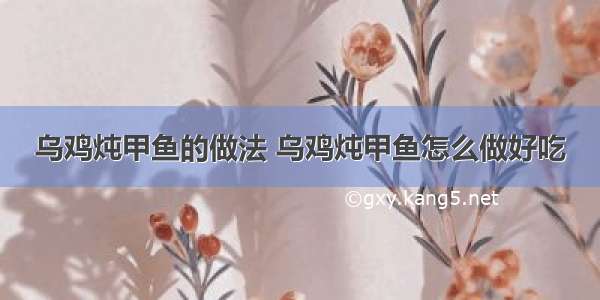 乌鸡炖甲鱼的做法 乌鸡炖甲鱼怎么做好吃