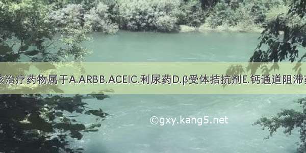 该治疗药物属于A.ARBB.ACEIC.利尿药D.β受体拮抗剂E.钙通道阻滞药