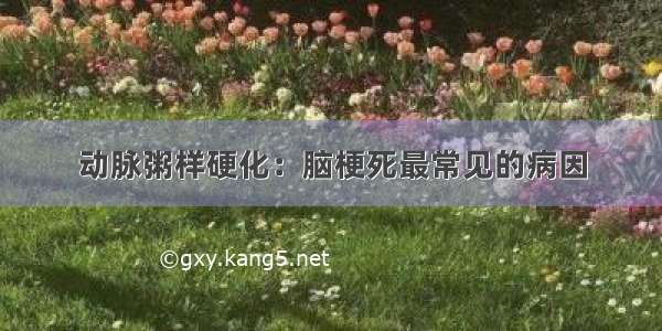 动脉粥样硬化：脑梗死最常见的病因