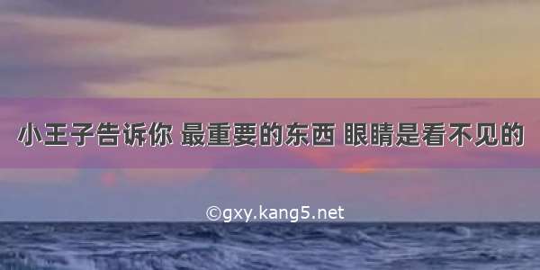 小王子告诉你 最重要的东西 眼睛是看不见的