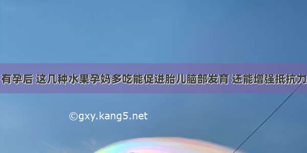 有孕后 这几种水果孕妈多吃能促进胎儿脑部发育 还能增强抵抗力