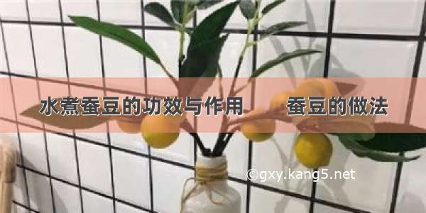 水煮蚕豆的功效与作用　　蚕豆的做法