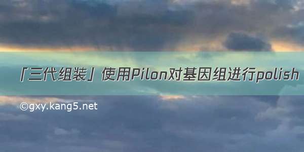 「三代组装」使用Pilon对基因组进行polish