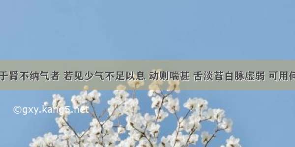 肾系病属于肾不纳气者 若见少气不足以息 动则喘甚 舌淡苔白脉虚弱 可用何方A.七味