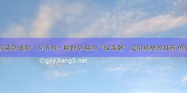 医院紧急通知：乡下的一种野草 称为“绿毒刺”是治痔疮的良药 价值高