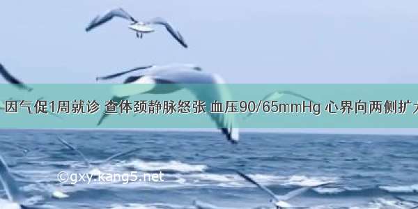 男性 34岁 因气促1周就诊 查体颈静脉怒张 血压90/65mmHg 心界向两侧扩大 心率12