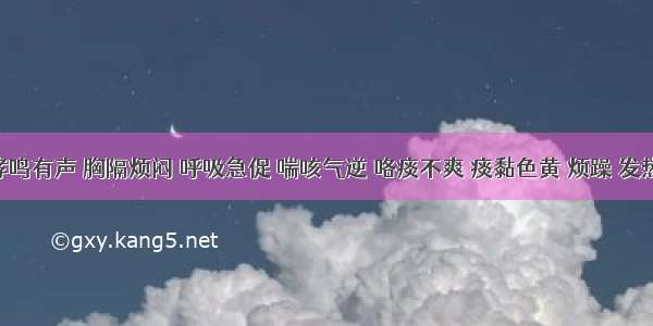 喉中哮鸣有声 胸隔烦闷 呼吸急促 喘咳气逆 咯痰不爽 痰黏色黄 烦躁 发热 恶寒