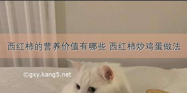 西红柿的营养价值有哪些 西红柿炒鸡蛋做法