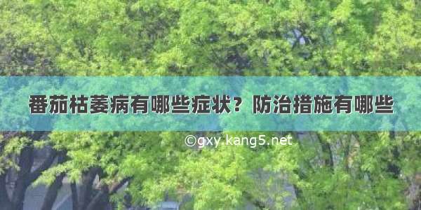 番茄枯萎病有哪些症状？防治措施有哪些