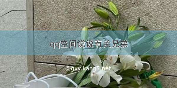 qq空间说说有关兄弟