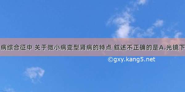 在原发性肾病综合征中 关于微小病变型肾病的特点 叙述不正确的是A.光镜下肾小球基本