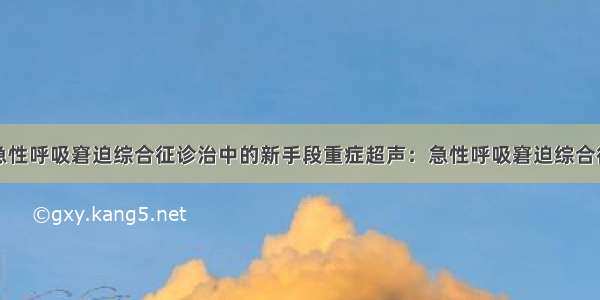 重症超声：急性呼吸窘迫综合征诊治中的新手段重症超声：急性呼吸窘迫综合征诊治中的新