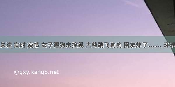 刷新 翻看 我 关注 实时 疫情 女子遛狗未拴绳 大爷踹飞狗狗 网友炸了…… 环球网今天19:35