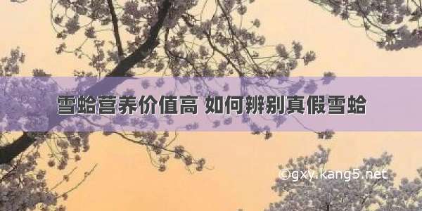 雪蛤营养价值高 如何辨别真假雪蛤