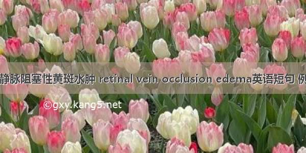 视网膜静脉阻塞性黄斑水肿 retinal vein occlusion edema英语短句 例句大全