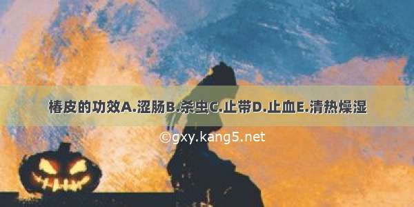 椿皮的功效A.涩肠B.杀虫C.止带D.止血E.清热燥湿