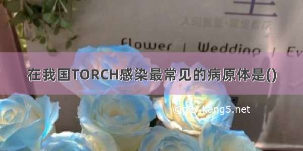 在我国TORCH感染最常见的病原体是()