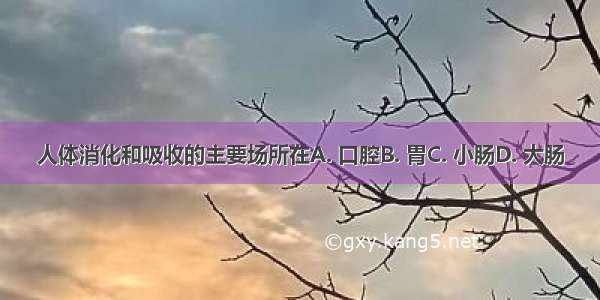 人体消化和吸收的主要场所在A. 口腔B. 胃C. 小肠D. 大肠