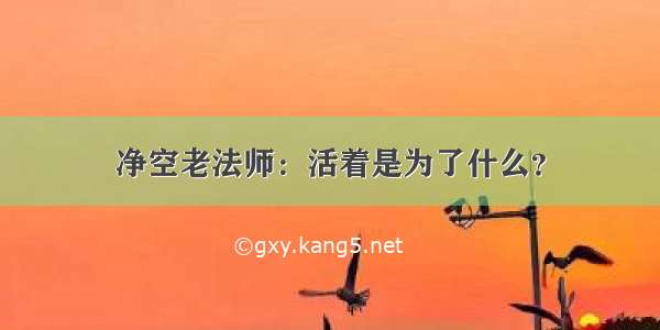 净空老法师：活着是为了什么？