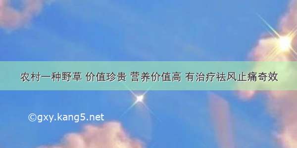 农村一种野草 价值珍贵 营养价值高 有治疗祛风止痛奇效