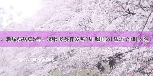 女性 71岁。糖尿病病史5年。咳嗽 多痰伴发热1周 嗜睡2d 昏迷5小时入院。体检：中