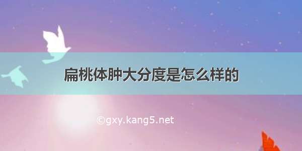 扁桃体肿大分度是怎么样的