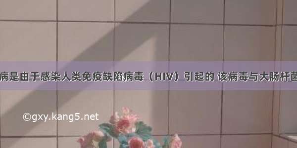 单选题艾滋病是由于感染人类免疫缺陷病毒（HIV）引起的 该病毒与大肠杆菌最明显的区