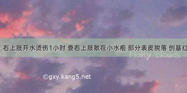 女 30岁 右上肢开水烫伤1小时 查右上肢散在小水疱 部分表皮脱落 创基红白相间 