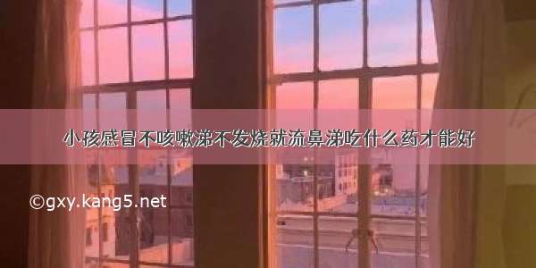 小孩感冒不咳嗽涕不发烧就流鼻涕吃什么药才能好