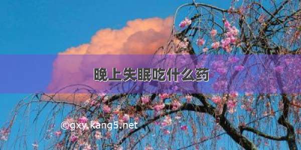 晚上失眠吃什么药