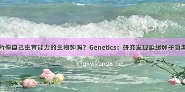 女性能暂停自己生育能力的生物钟吗？Genetics：研究发现延缓卵子衰老的关键