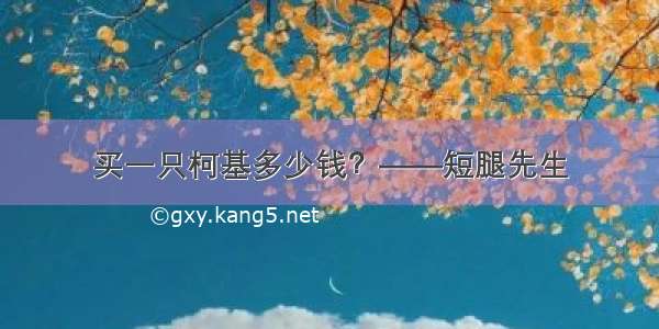 买一只柯基多少钱？——短腿先生