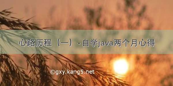 心路历程（一）-自学java两个月心得