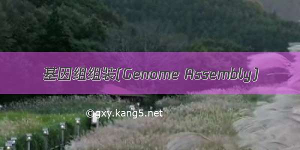 基因组组装(Genome Assembly)