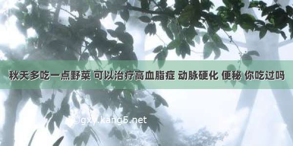 秋天多吃一点野菜 可以治疗高血脂症 动脉硬化 便秘 你吃过吗