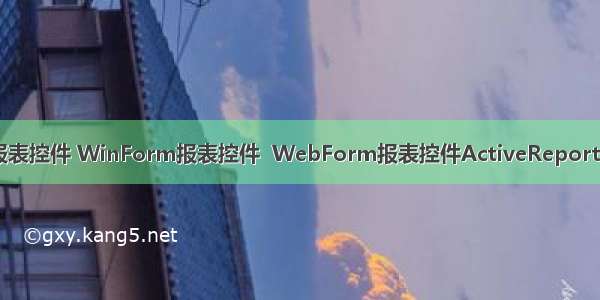 报表 基本报表控件 WinForm报表控件  WebForm报表控件ActiveReports For .NET