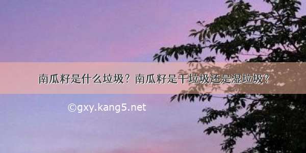 南瓜籽是什么垃圾？南瓜籽是干垃圾还是湿垃圾？