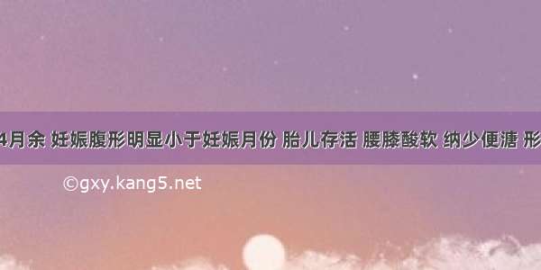 患者孕4月余 妊娠腹形明显小于妊娠月份 胎儿存活 腰膝酸软 纳少便溏 形寒畏冷 