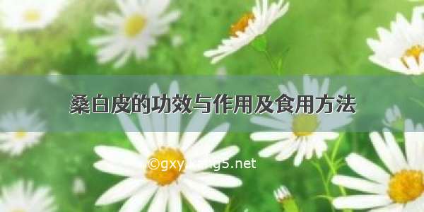 桑白皮的功效与作用及食用方法