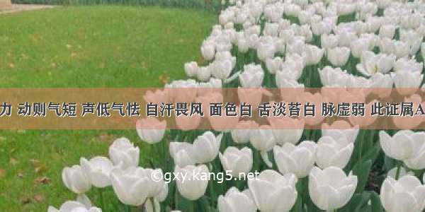 咳喘无力 动则气短 声低气怯 自汗畏风 面色白 舌淡苔白 脉虚弱 此证属A.心气虚