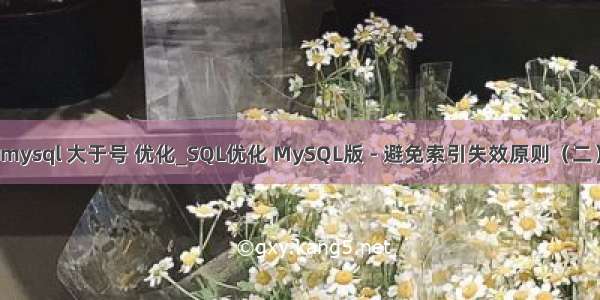 mysql 大于号 优化_SQL优化 MySQL版 - 避免索引失效原则（二）