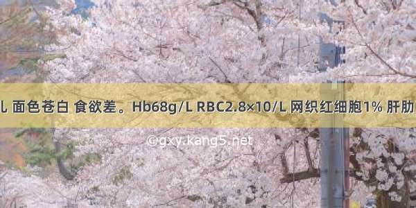 9个月婴儿 面色苍白 食欲差。Hb68g/L RBC2.8×10/L 网织红细胞1% 肝肋下2.5cm 