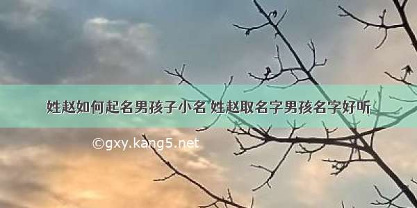 姓赵如何起名男孩子小名 姓赵取名字男孩名字好听