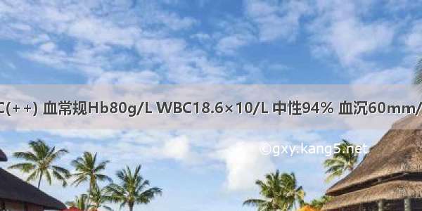 提示：尿常规 蛋白(+) RBC(++) 血常规Hb80g/L WBC18.6×10/L 中性94% 血沉60mm/h 心电图：Ⅱ Ⅲ aVF ST段