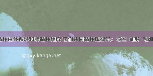 人体血液循环由体循环和肺循环组成 它们共同循环规律是：心室→动脉→毛细血管→静脉