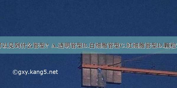 健康人尿中可以见到什么管型？A.透明管型B.白细胞管型C.红细胞管型D.颗粒管型E.脂肪管