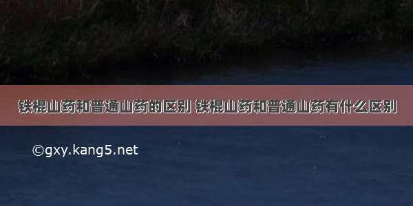 铁棍山药和普通山药的区别 铁棍山药和普通山药有什么区别